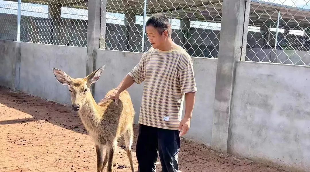 2018白菜网站大全